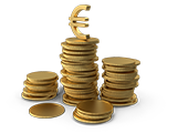 Sector Financiar-Bancar
